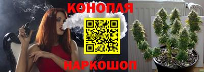 индика Волгодонск